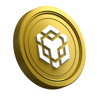 Na stronie przewodnika dla nowych traderów moneta kryptowalutowa Binance BNB